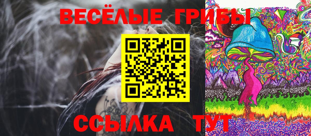 Псилоцибиновые грибы GOLDEN TEACHER  Вход с VPN  Орехово-Зуево 